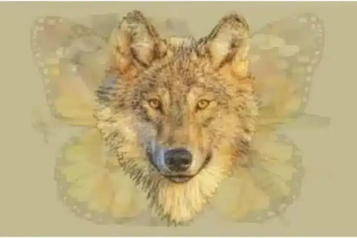 Votre première impression animale