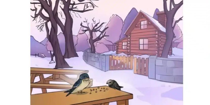 épreuve test visuel