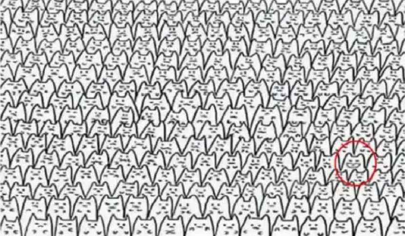 solution test visuel